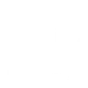 P+P Karton